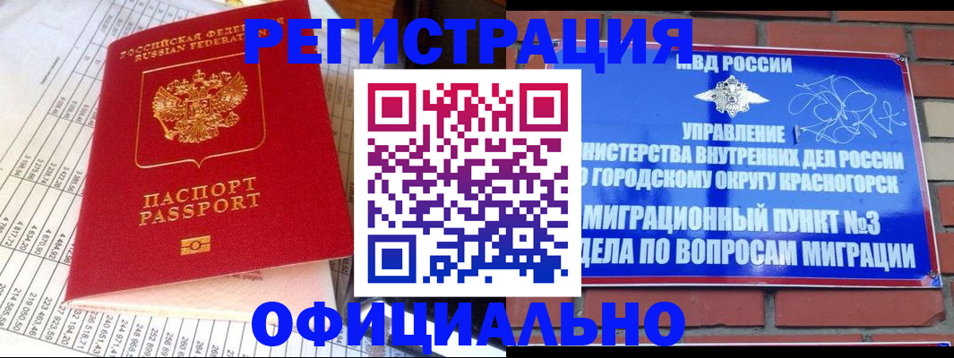 прописка поиск в Малоярославце